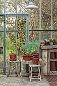 CAISSON GARDEN, SOMERSET: GLASSHOUSE, GREENHOUSE, CHAIRS, SPRING, MARCH