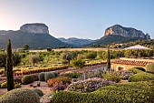 PRIVATE GARDEN ALARO, MALLORCA, DESIGNED BY MASHAMBA DESIGN: GRAVEL GARDEN, OSTEOSPERMUM ECKLONIS, BULBINE FRUTESCENS, ECHIUM CANDICANS, MOUNTAINS, BORROWED LANDSCAPE