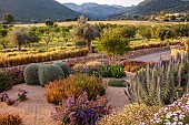 PRIVATE GARDEN ALARO, MALLORCA, DESIGNED BY MASHAMBA DESIGN: GRAVEL GARDEN, OSTEOSPERMUM ECKLONIS, BULBINE FRUTESCENS, ECHIUM CANDICANS, MOUNTAINS, BORROWED LANDSCAPE