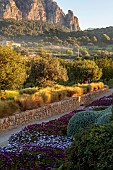 PRIVATE GARDEN ALARO, MALLORCA, DESIGNED BY MASHAMBA DESIGN: GARDEN ENTRANCE, APRIL, STONE WALL, OSTEOSPERMUM ECKLONIS, STIPA TENUISSIMA, OLIVE TREES, DAWN, SUNRISE