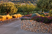 PRIVATE GARDEN ALARO, MALLORCA, DESIGNED BY MASHAMBA DESIGN: GARDEN ENTRANCE, APRIL, STONE WALL, OSTEOSPERMUM ECKLONIS, STIPA TENUISSIMA, OLIVE TREES, DAWN, SUNRISE