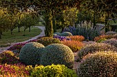 PRIVATE GARDEN ALARO, MALLORCA, DESIGNED BY MASHAMBA DESIGN: APRIL, GRAVEL GARDEN, OSTEOSPERMUM ECKLONIS, ERIGERON, TEUCRIUM FRUTESCENS, ECHIUM CANDICANS, BULBINE FRUTESCENS