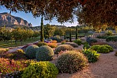 PRIVATE GARDEN ALARO, MALLORCA, DESIGN, MASHAMBA DESIGN: APRIL, GRAVEL GARDEN, OSTEOSPERMUM, ERIGERON, TEUCRIUM FRUTESCENS, ECHIUM CANDICANS, BULBINE FRUTESCENS, AGAVE ATTENUATA