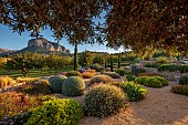 PRIVATE GARDEN ALARO, MALLORCA, DESIGN, MASHAMBA DESIGN: APRIL, GRAVEL GARDEN, OSTEOSPERMUM, ERIGERON, TEUCRIUM FRUTESCENS, ECHIUM CANDICANS, BULBINE FRUTESCENS, AGAVE ATTENUATA