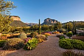 PRIVATE GARDEN ALARO, MALLORCA, DESIGN, MASHAMBA DESIGN: APRIL, GRAVEL GARDEN, OSTEOSPERMUM, ERIGERON, TEUCRIUM FRUTESCENS, ECHIUM CANDICANS, BULBINE FRUTESCENS, AGAVE ATTENUATA