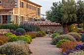 PRIVATE GARDEN ALARO, MALLORCA, DESIGN, MASHAMBA DESIGN: APRIL, GRAVEL GARDEN, OSTEOSPERMUM, ERIGERON, ECHIUM CANDICANS, BULBINE FRUTESCENS, AGAVE ATTENUATA, ERIGERON KARVINSKIANUS