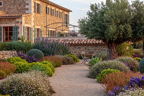 PRIVATE_GARDEN_ALARO_MALLORCA_DESIGN_MASHAMBA_DESIGN_APRIL_GRAVEL_GARDEN_OSTEOSPERMUM_ERIGERON_ECHIU