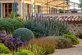 PRIVATE GARDEN ALARO, MALLORCA, DESIGN, MASHAMBA DESIGN: APRIL, GRAVEL GARDEN, ECHIUM CANDICANS, BULBINE FRUTESCENS, ERIGERON KARVINSKIANUS, TEUCRIUM FRUTICANS