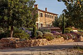 PRIVATE GARDEN ALARO, MALLORCA, DESIGNED BY MASHAMBA DESIGN: GARDEN ENTRANCE, APRIL, STONE WALL, OSTEOSPERMUM ECKLONIS, DAWN, SUNRISE, OSTEOSPERMUM ECKLONIS, ECHIUM CANDICANS