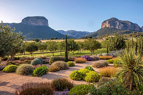 PRIVATE_GARDEN_ALARO_MALLORCA_DESIGNED_BY_MASHAMBA_DESIGN_GRAVEL_GARDEN_OSTEOSPERMUM_ECKLONIS_BULBIN