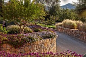 PRIVATE GARDEN ALARO, MALLORCA, DESIGNED BY MASHAMBA DESIGN: GRAVEL GARDEN, STONE WALLS, OSTEOSPERMUM ECKLONIS, STIPA TENUISSIMA, BORROWED LANDSCAPE