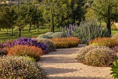 PRIVATE GARDEN ALARO, MALLORCA, DESIGNED BY MASHAMBA DESIGN: GRAVEL GARDEN, BULBINE FRUTESCENS, ERIGERON KARVINSKIANUS, ECHIUM CANDICANS, LIMONIUM PEREZII