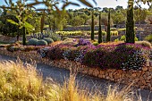 PRIVATE GARDEN ALARO, MALLORCA, DESIGNED BY MASHAMBA DESIGN: GRAVEL GARDEN, WALLS, OSTEOSPERMUM ECKLONIS, BULBINE FRUTESCENS, ECHIUM CANDICANS, CLIPPED TEUCRIUM, STIPA TENUISSIMA