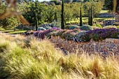 PRIVATE GARDEN ALARO, MALLORCA, DESIGNED BY MASHAMBA DESIGN: GRAVEL GARDEN, WALLS, OSTEOSPERMUM ECKLONIS, ECHIUM CANDICANS, CLIPPED TEUCRIUM, STIPA TENUISSIMA