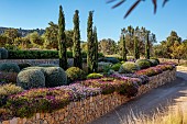 PRIVATE GARDEN ALARO, MALLORCA, DESIGNED BY MASHAMBA DESIGN: GRAVEL GARDEN, WALLS, OSTEOSPERMUM ECKLONIS, CLIPPED TEUCRIUM FRUTICANS, STIPA TENUISSIMA