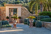 PRIVATE GARDEN ALARO, MALLORCA, DESIGNED BY MASHAMBA DESIGN: ENTRANCE TO COURTYARD, CLIPPED TOPIARY SHAPES, WALL, GATE, TERRACOTTA CONTAINERS, CYCAS REVOLUTA, JAPANESE SAGO PALM