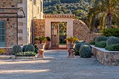 PRIVATE GARDEN ALARO, MALLORCA, DESIGNED BY MASHAMBA DESIGN: ENTRANCE TO COURTYARD, CLIPPED TOPIARY SHAPES, WALL, GATE, TERRACOTTA CONTAINERS, CYCAS REVOLUTA, JAPANESE SAGO PALM