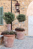 PRIVATE GARDEN ALARO, MALLORCA, DESIGNED BY MASHAMBA DESIGN: COURTYARD, WALL, TERRACOTTA CONTAINERS, DECORATIVE COBBLED FLOOR