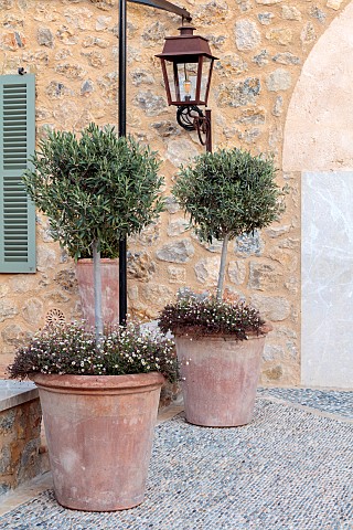PRIVATE_GARDEN_ALARO_MALLORCA_DESIGNED_BY_MASHAMBA_DESIGN_COURTYARD_WALL_TERRACOTTA_CONTAINERS_DECOR