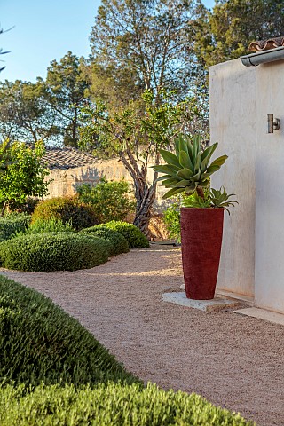 JENNIFER_AND_ALEXANDER_WARRENGASH_GARDEN_MALLORCA