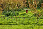 MEADOW BY ANGEL COLLINS, SPRING, APRIL: CAMASSIAS AND TULIPS, TULIPA SLAWA, QUEEN OF NIGHT, MERLOT AND APRICOT FOX