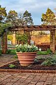 COTTESBROOKE HALL, NORTHAMPTONSHIRE: TERRACOTTA CONTAINER PLANTED WITH WHITE AND GREEN PARROT TULIP SUPER PARROT, APRIL, SPRING