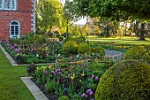 MORTON HALL GARDENS, WORCESTERSHIRE: APRIL, SPRING, BORDERS, TULIPS, SOUTH GARDEN, MORNING LIGHT, SUNRISE