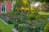 MORTON HALL GARDENS, WORCESTERSHIRE: APRIL, SPRING, BORDERS, TULIPS, SOUTH GARDEN, MORNING LIGHT, SUNRISE