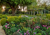 MORTON HALL GARDENS, WORCESTERSHIRE: APRIL, SPRING, BORDERS, TULIPS, SOUTH GARDEN, MORNING LIGHT, SUNRISE