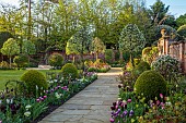 MORTON HALL GARDENS, WORCESTERSHIRE: APRIL, SPRING, BORDERS, TULIPS, SOUTH GARDEN, MORNING LIGHT, SUNRISE, PYRUS SILVER SAILS