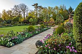 MORTON HALL GARDENS, WORCESTERSHIRE: APRIL, SPRING, BORDERS, TULIPS, SOUTH GARDEN, MORNING LIGHT, SUNRISE, PYRUS SILVER SAILS