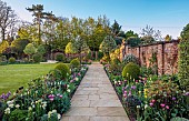 MORTON HALL GARDENS, WORCESTERSHIRE: APRIL, SPRING, BORDERS, TULIPS, SOUTH GARDEN, MORNING LIGHT, SUNRISE, PYRUS SILVER SAILS
