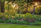 MORTON HALL GARDENS, WORCESTERSHIRE: APRIL, SPRING, BORDERS, TULIPS, SOUTH GARDEN, MORNING LIGHT, SUNRISE