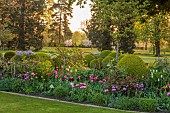 MORTON HALL GARDENS, WORCESTERSHIRE: APRIL, SPRING, BORDERS, TULIPS, SOUTH GARDEN, MORNING LIGHT, SUNRISE