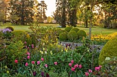 MORTON HALL GARDENS, WORCESTERSHIRE: APRIL, SPRING, BORDERS, TULIPS, SOUTH GARDEN, MORNING LIGHT, SUNRISE
