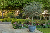 MORTON HALL GARDENS, WORCESTERSHIRE: APRIL, SPRING, BORDERS, TULIPS, SOUTH GARDEN, MORNING LIGHT, SUNRISE, CONTAINER, CLIPPED BOX BALLS
