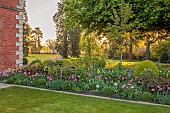 MORTON HALL GARDENS, WORCESTERSHIRE: APRIL, SPRING, BORDERS, TULIPS, SOUTH GARDEN, MORNING LIGHT, SUNRISE, CONTAINER, CLIPPED BOX BALLS