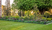 MORTON HALL GARDENS, WORCESTERSHIRE: APRIL, SPRING, BORDERS, TULIPS, SOUTH GARDEN, MORNING LIGHT, SUNRISE, CONTAINER, CLIPPED BOX BALLS, CHESTNUT TREE