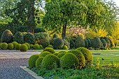 MORTON HALL GARDENS, WORCESTERSHIRE: APRIL, SPRING, BORDERS, MORNING LIGHT, SUNRISE, BOX BALLS CLIPPED BY JAMES TODMAN, LAWN, GREEN, HEDGES, HEDGING
