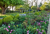 MORTON HALL GARDENS, WORCESTERSHIRE: APRIL, SPRING, BORDERS, TULIPS, SOUTH GARDEN, MORNING LIGHT, SUNRISE, PERGOLA, CHESTNUT TREE
