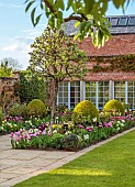 MORTON HALL GARDENS, WORCESTERSHIRE: APRIL, SPRING, BORDERS, TULIPS, SOUTH GARDEN, PYRUS SILVER SAILS, LAWN