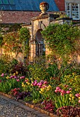 MORTON HALL GARDENS, WORCESTERSHIRE: THE KITCHEN GARDEN, SPRING, APRIL, BORDER WITH TULIPS AMAZING GRACE, ANTOINETTE, WALLED GARDEN, GREENHOUSE