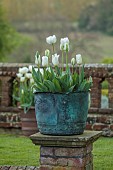 DODDINGTON PLACE, KENT: APRIL, SPRING, THE SUNKEN GARDEN, COPPER CONTAINER PLANTED WITH TULIPA ANGELS WISH AND TULIPA SPRING GREEN