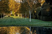 DODDINGTON PLACE, KENT: APRIL, SPRING, HUGE CLIPPED YEW HEDGE, HEDGING, AVENUE OF BEECHES, POND, POOL, REFLECTED, REFLECTIONS