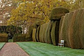 DODDINGTON PLACE, KENT: APRIL, SPRING, HUGE CLIPPED YEW HEDGE, HEDGING, CHAIRS, BENCHES