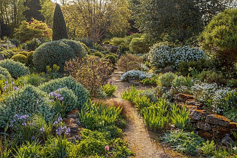 DODDINGTON_PLACE_KENT_APRIL_SPRING_THE_ROCK_GARDEN_IRISES_CAMASSIAS_BALLOTA_CHOISYA_AZTEC_PEARL_FALL