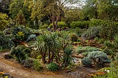 DODDINGTON PLACE, KENT: APRIL, SPRING, THE ROCK GARDEN, CORDYLINES, BERGENIA CORDIFOLIA OVERTURE, STREAM