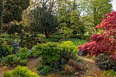 DODDINGTON PLACE, KENT: APRIL, SPRING, THE ROCK GARDEN, EUPHORBIAS, MAPLES, ACERS