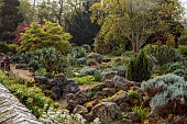 DODDINGTON PLACE, KENT: APRIL, SPRING, THE ROCK GARDEN, ROCKS, CORDYLINES, MAPLES, ACERS