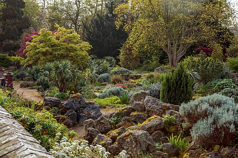 DODDINGTON_PLACE_KENT_APRIL_SPRING_THE_ROCK_GARDEN_ROCKS_CORDYLINES_MAPLES_ACERS